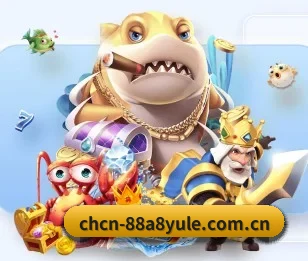体育平台的故事